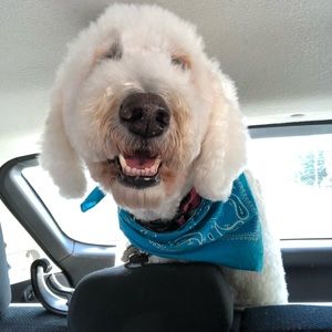 Meet your Posher, Mackenzie